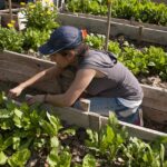 Caseros para Cuidado de Estancia – ENTRE RÍOS – Con o sin Experiencia