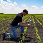 Ingeniero/a Agrónomo/a para Empresa Agropecuaria – CÓRDOBA – Con o sin Experiencia