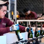 Personal para Tienda de Vinos – Con o sin Experiencia