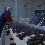 Trabajá en AGROSERC – Inscripciones abiertas