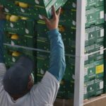 Trabajá en CAUQUEN – Inscripciones abiertas
