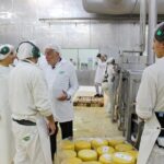 Trabajá en NOAL S.A. – Inscripciones abiertas