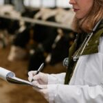 Trabajá en OIA ARGENTINA – Inscripciones abiertas